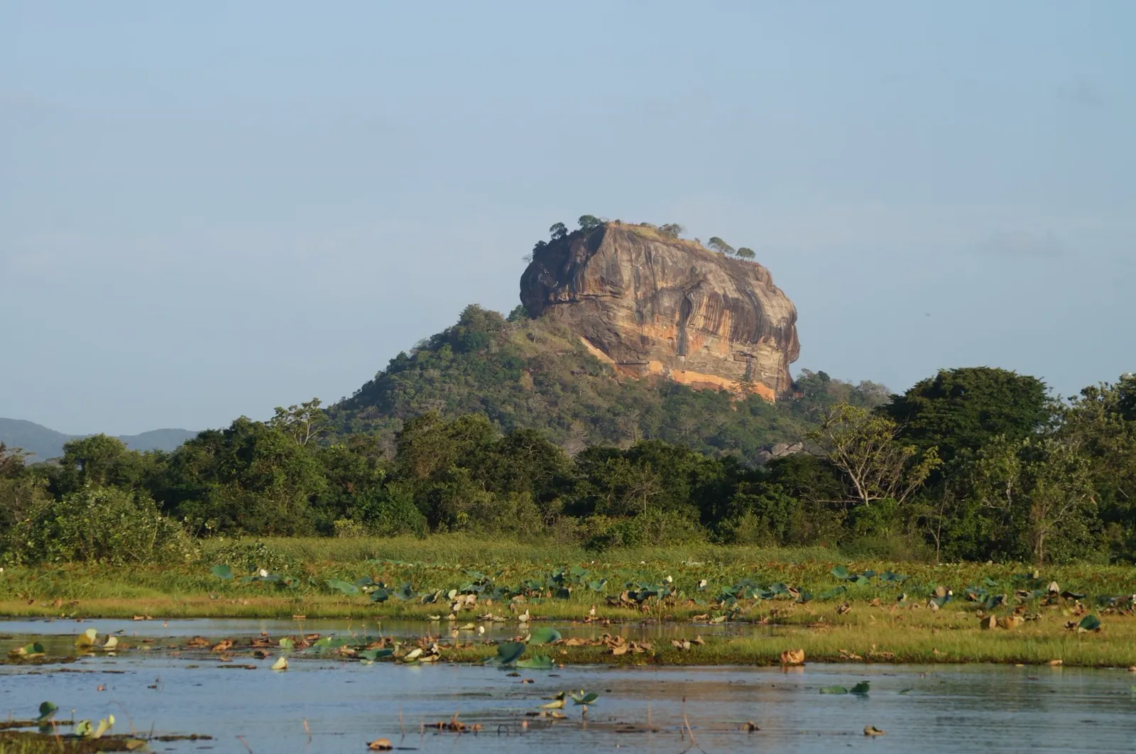 Sigiriya rock rising above forest and a lily-covered tank