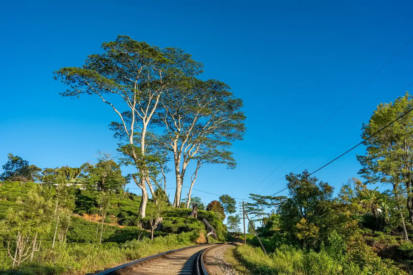 Sri Lanka in December: a railway line curving through green hills under a clear blue sky