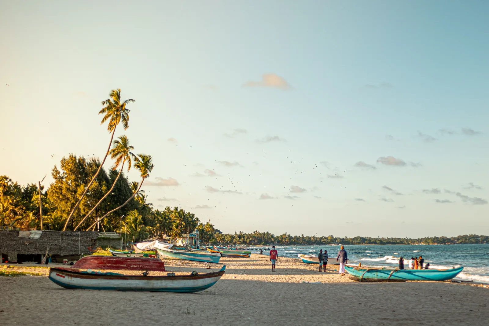 Sri Lanka in July: fishing boats pulled up on the sand at Trincomalee beach in the late afternoon