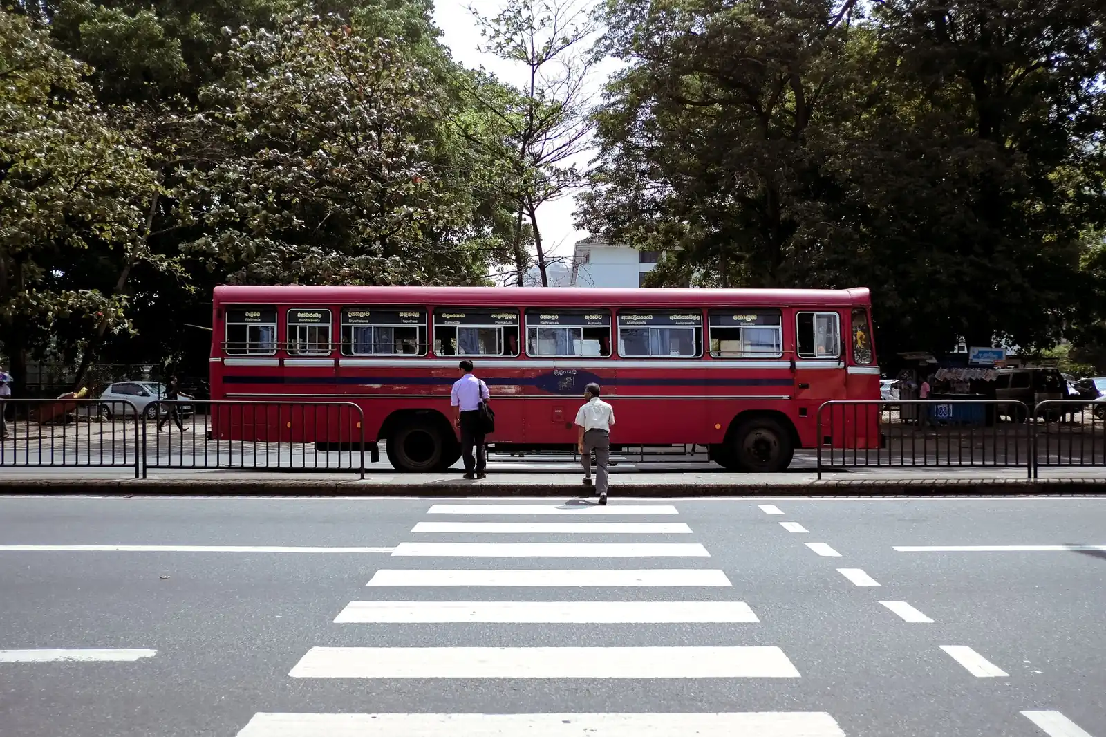 an SLTB bus picking up passengers on a Colombo city route